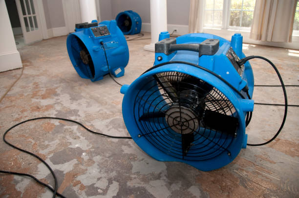Best Commercial water damage restoration  in Wellman, IA