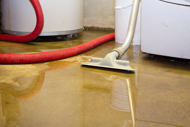 Best Mold removal after water damage  in Wellman, IA