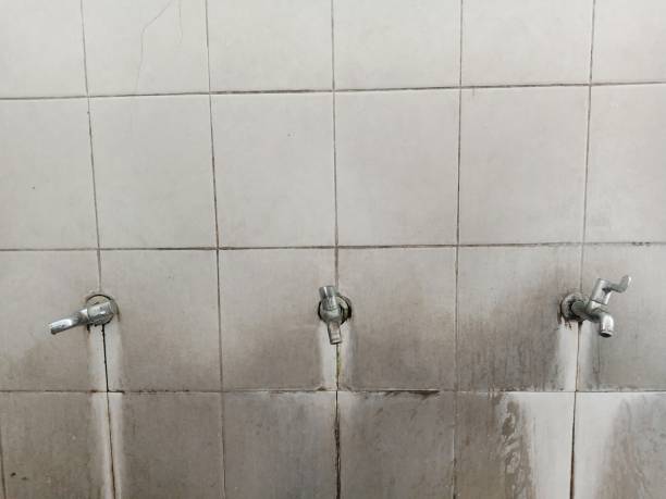 Best Local water damage restoration  in Wellman, IA